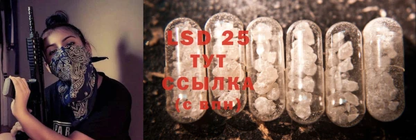 PSILOCYBIN Заводоуковск