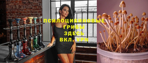 мяу мяу мука Пересвет