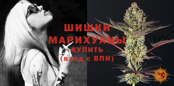 МДПВ Пестово