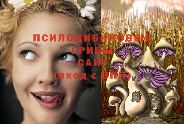 МДПВ Пестово