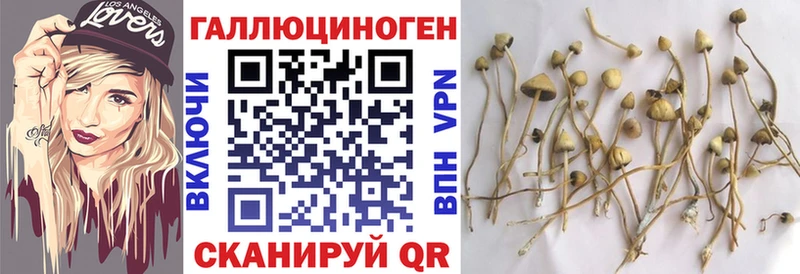 Галлюциногенные грибы Cubensis  Каменск-Шахтинский 