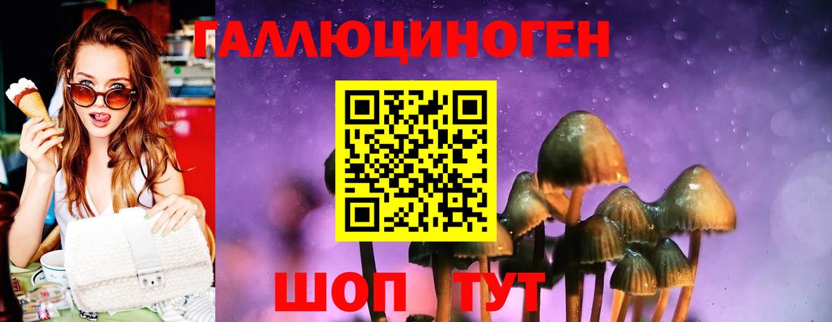 Галлюциногенные грибы мухоморы  Вход с VPN  Каменск-Шахтинский  Галлюциногенные грибы MAGIC MUSHROOMS 